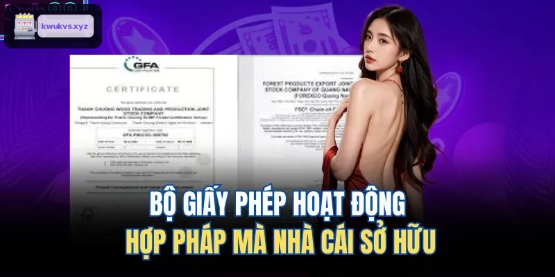 Bộ giấy phép hợp pháp mà ONE88 sở hữu