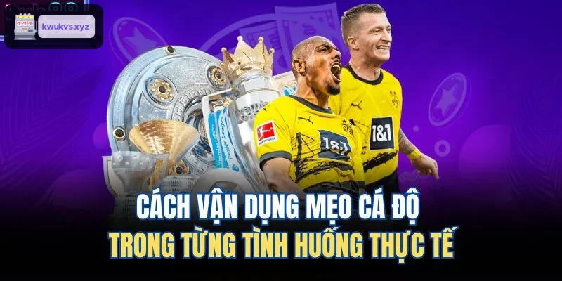 Cách áp dụng mẹo cá cược trong từng trường hợp cụ thể