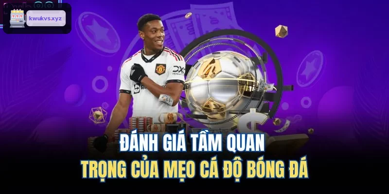 Phân tích vai trò mẹo cá cược bóng đá